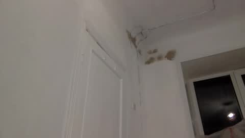 Muse Ali  online show from December 3, 4:22 pm