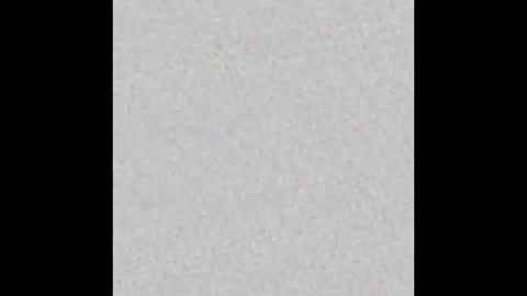 ghost mantis online show from November 27, 8:55 am