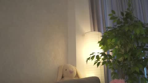 Polly online show from May 14, 1:42 pm