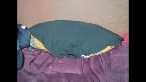 myaldiah online show from February 17, 4:06 pm