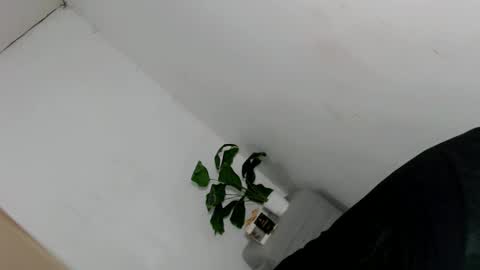 mysterious_honeyghe online show from March 6, 5:06 am