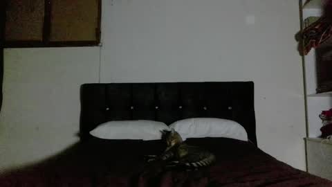 Nahomy online show from April 1, 2:23 am