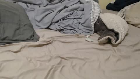 nalitonude online show from December 23, 12:03 am