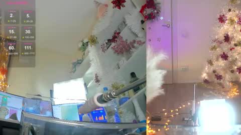 INSTAGRAM     bekkercat  online show from January 9, 11:38 am