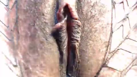 Natty online show from April 22, 5:20 pm