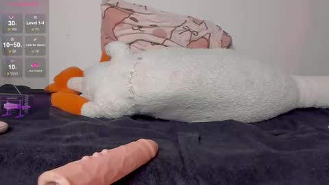 Neil online show from February 17, 10:36 am