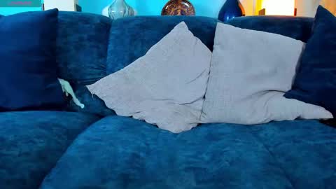 Neill online show from December 20, 10:28 pm