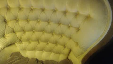 Lilly  online show from November 8, 5:27 pm