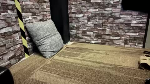 newzex66 online show from January 23, 12:09 pm