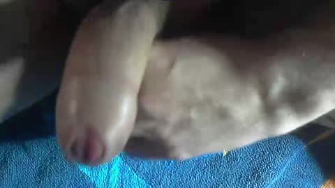 ni983 online show from December 19, 3:08 pm