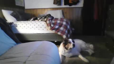 nice_one7411 online show from April 22, 2:08 am