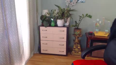 Nika online show from February 2, 1:08 pm