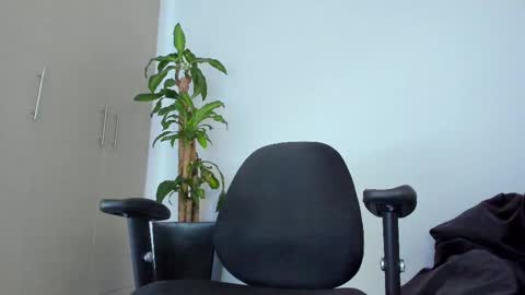 Noah online show from February 11, 6:33 pm