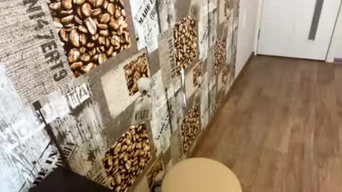 Abri online show from March 22, 1:04 pm