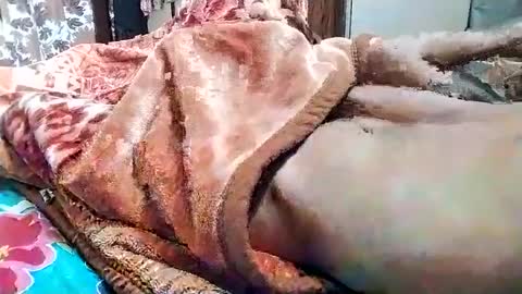 sim  nib online show from March 1, 5:31 am