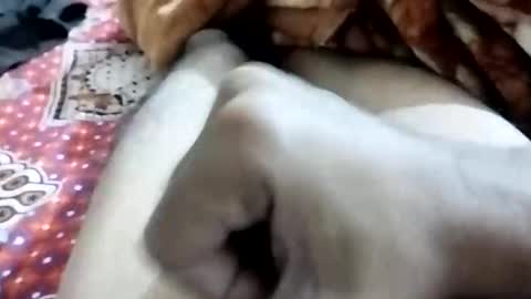 sim  nib online show from December 2, 8:18 pm