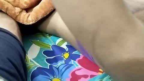 sim  nib online show from January 9, 8:44 pm