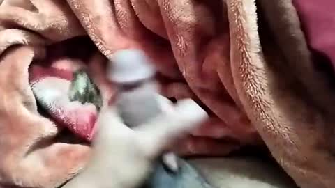 sim  nib online show from December 28, 5:44 am