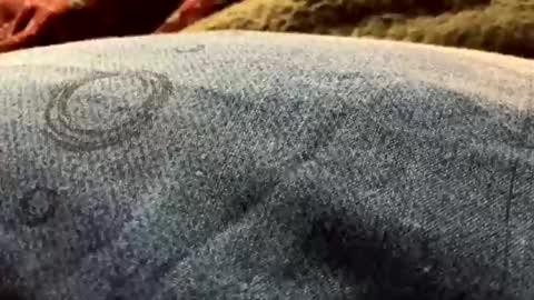 DarqLight online show from December 19, 6:01 am