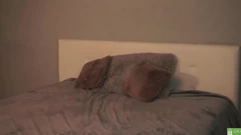 Alice online show from October 11, 8:56 pm