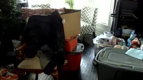 oscar flores online show from December 17, 2:35 pm