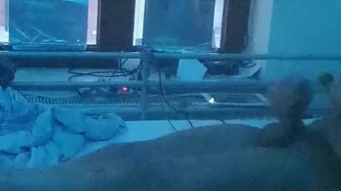 olivier_21 online show from April 14, 6:33 pm