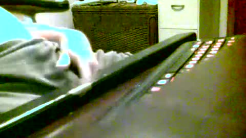 Snapshot of oneyedjackin chatting on October 8, 1:24 am oneyedjackin online show from October 8, 1:24 am