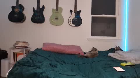 Duo online show from March 12, 2:52 am