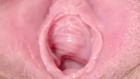 orchidekitty online show from January 31, 11:57 pm