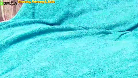 Owl online show from February 5, 6:55 pm