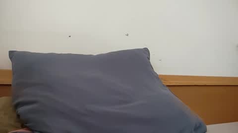 Sebastian online show from April 25, 12:40 pm