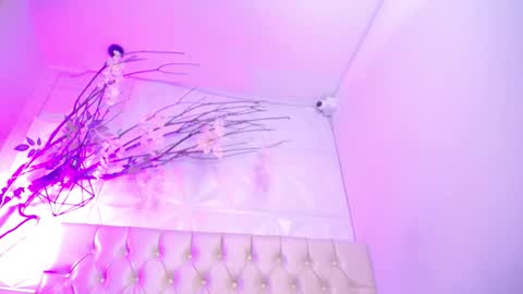 Pamela online show from November 19, 8:40 pm