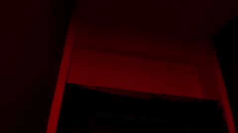  P A M  online show from November 12, 4:15 am