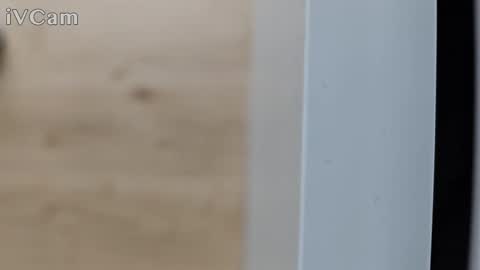 Snapshot of pantyhose_ggggg chatting on October 11, 2:43 pm pantyhose_ggggg online show from October 11, 2:43 pm