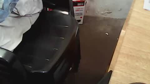 pareja201722 online show from December 14, 7:46 pm