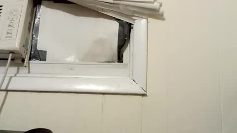 JD online show from December 18, 2:32 am