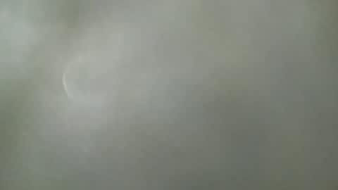 Pau online show from June 19, 7:47 am