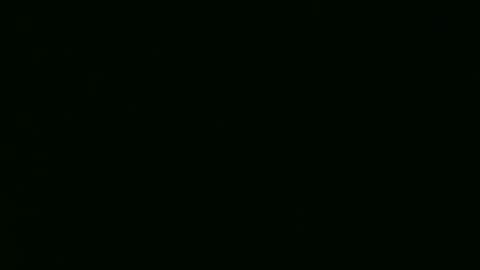 PaulCongo online show from April 22, 10:33 am