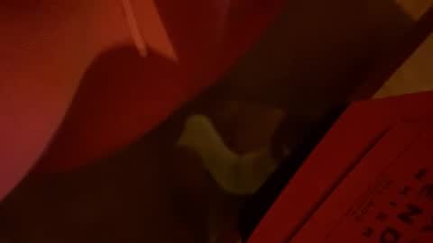 PedrOO OO online show from April 8, 8:12 pm