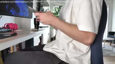 Peter Parker online show from June 15, 10:24 pm