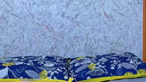 little sharon online show from December 14, 7:31 pm