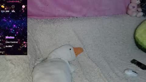 phantommira online show from September 25, 3:41 pm