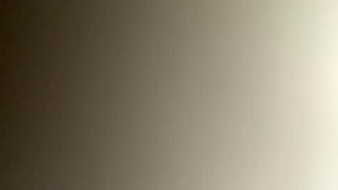 Bee online show from December 3, 10:56 pm