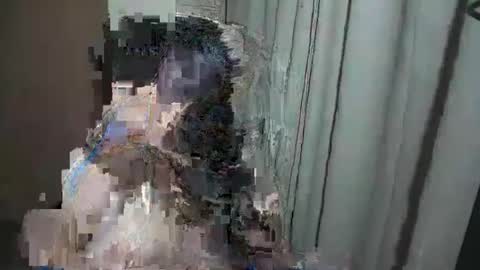 Dhalia online show from November 4, 5:31 am