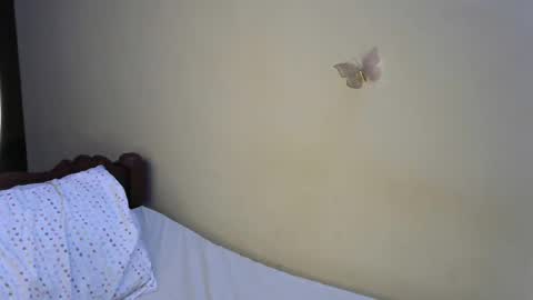 PINKY online show from April 2, 7:21 pm