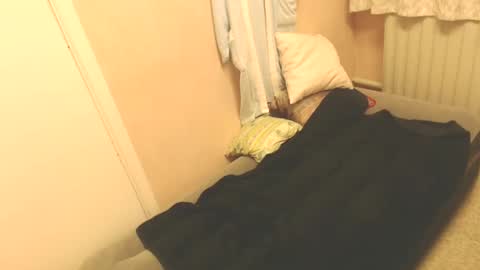 pino477 online show from November 2, 9:26 pm