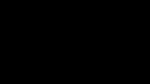 Bella online show from November 18, 10:07 am