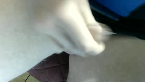 pippo online show from March 8, 10:02 pm