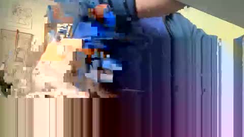 PirandelloBello online show from November 25, 2:49 pm