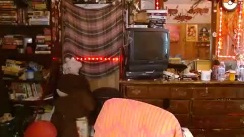 Izzy online show from September 29, 7:46 pm